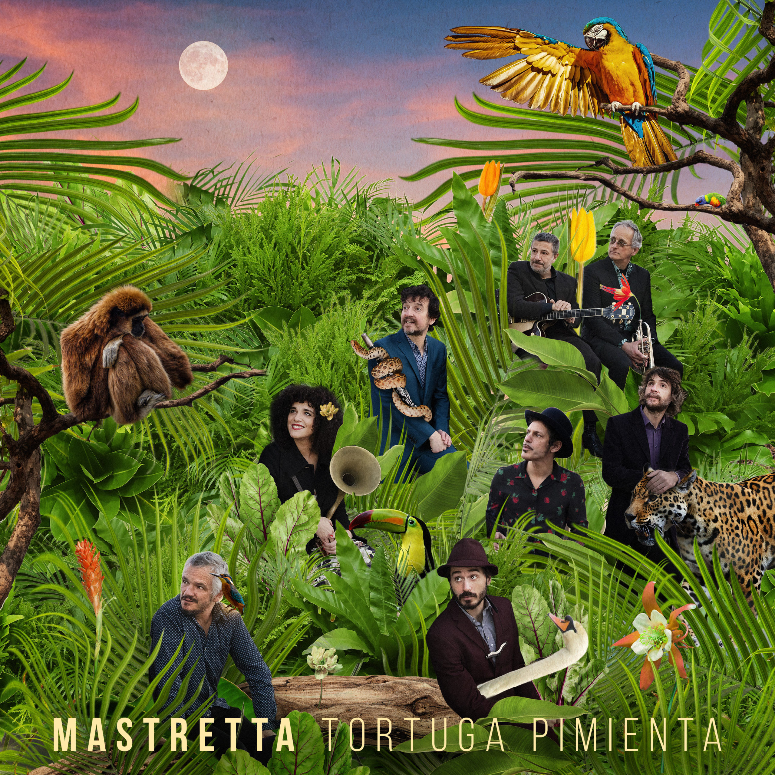 Nuevo single Mastretta | Tortuga Pimienta - Portada 2022©